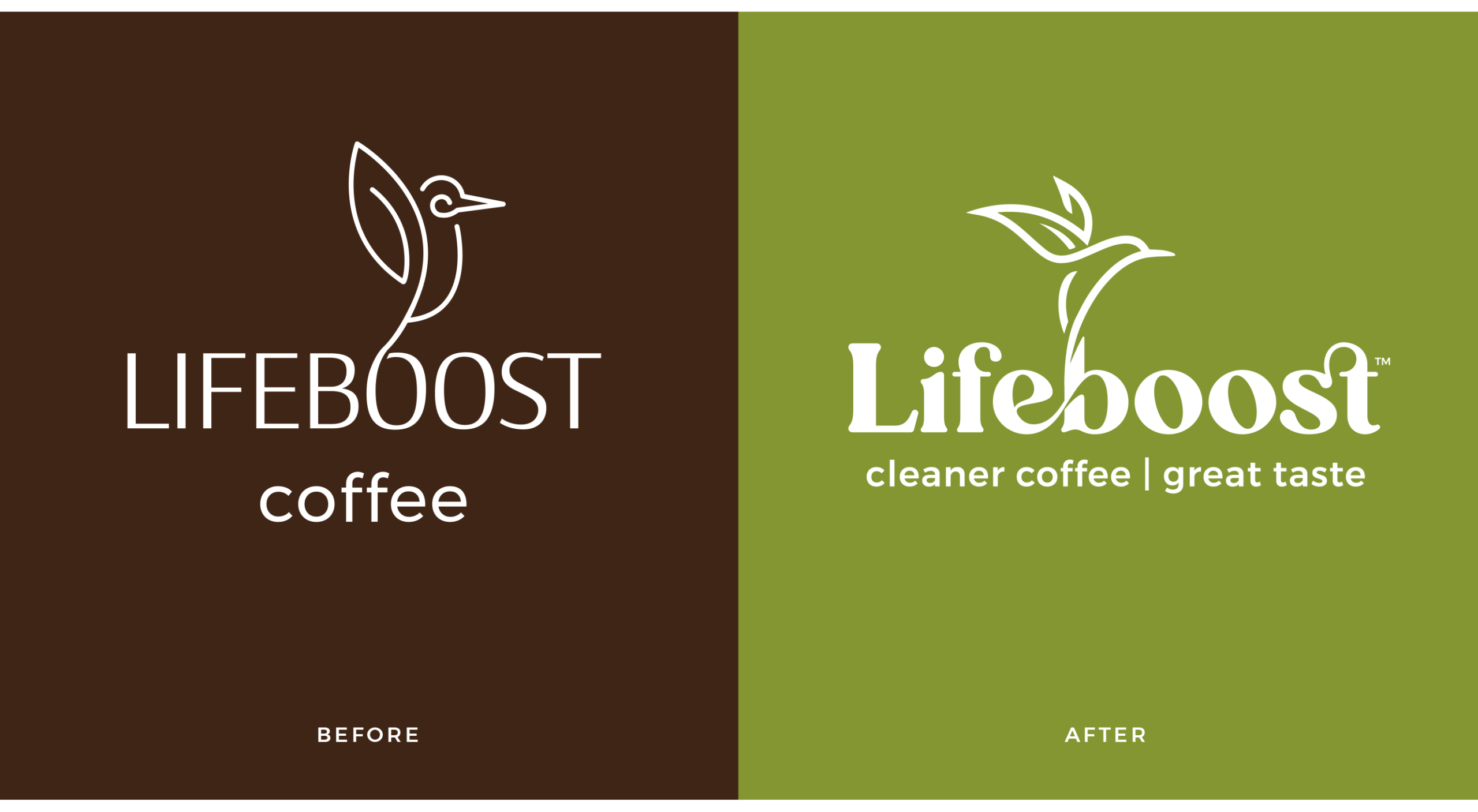 Lifeboost_Logo